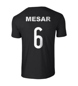 Mesar 6