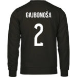 Gajbonoša 2