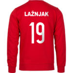 Lažnjak 19