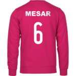 Mesar 6