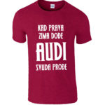 Kad prava zima dođe audi svuda prođe