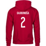Gajbonoša 2