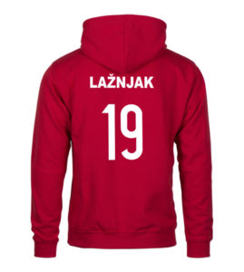 Lažnjak 19