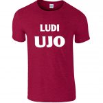 Ludi Ujo