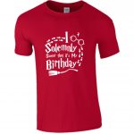 I Solemnly Swear That It’s My Birthday