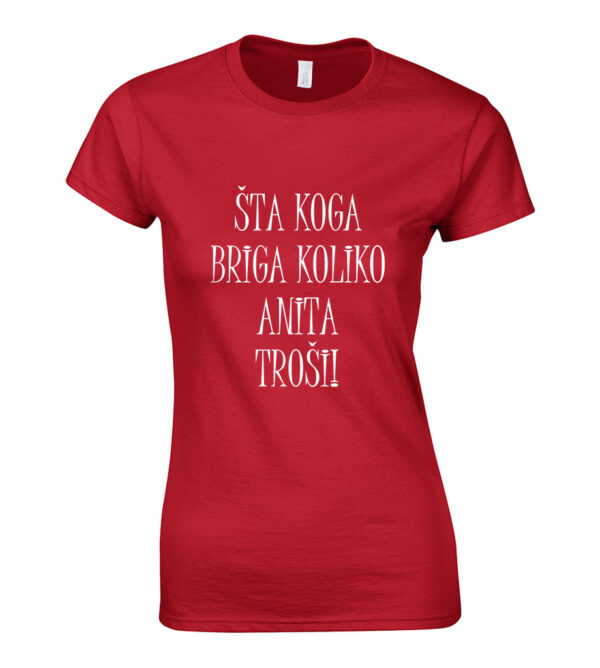 Šta Koga Briga Koliko Anita Troši