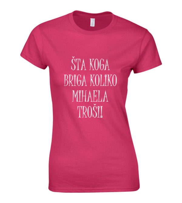 Šta Koga Briga Koliko Mihaela Troši