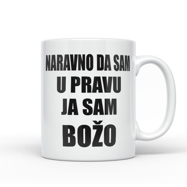 Naravno Da Sam U Pravu Ja Sam Božo