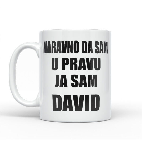 Naravno Da Sam U Pravu Ja Sam David - Slika 2