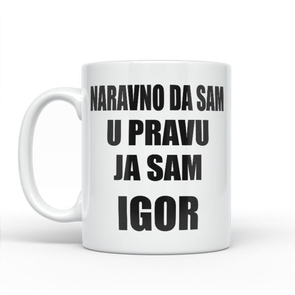 Naravno Da Sam U Pravu Ja Sam Igor - Slika 2