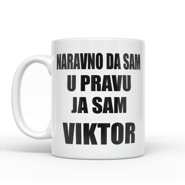 Naravno Da Sam U Pravu Ja Sam Viktor - Slika 2