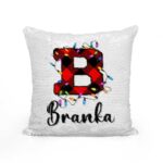 Branka - Slika 2