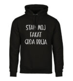 Stari Moj Fakat Grda Brija