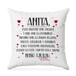 Anita Ovaj Jastučić Smo Zagrlili ….