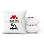 I Love You This Much - Slika 2